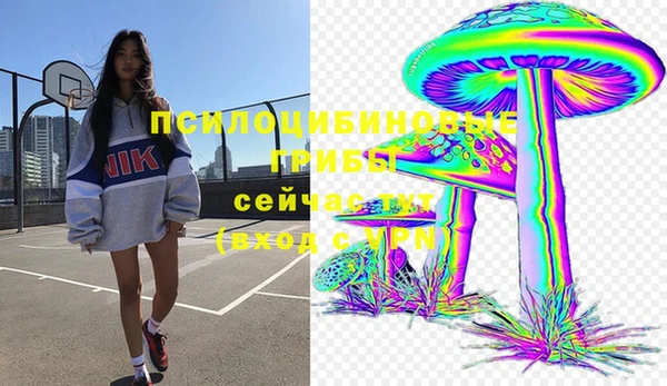 тгк Богданович