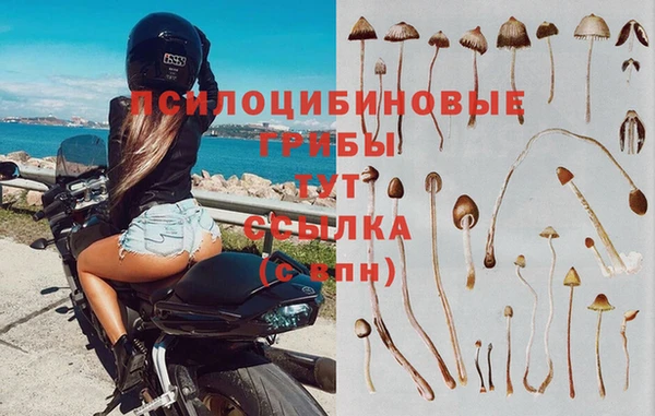 тгк Богданович